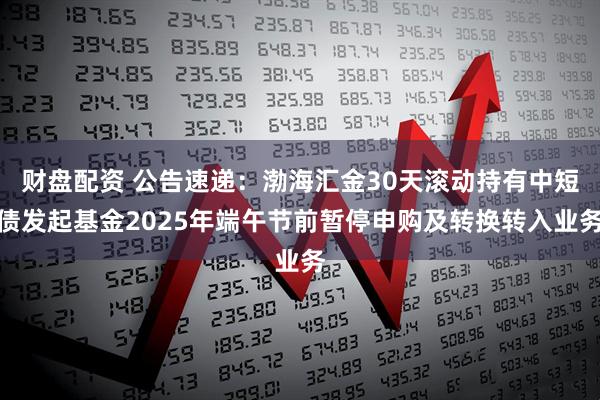 财盘配资 公告速递：渤海汇金30天滚动持有中短债发起基金2025年端午节前暂停申购及转换转入业务