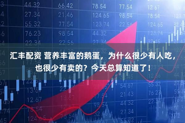 汇丰配资 营养丰富的鹅蛋，为什么很少有人吃，也很少有卖的？今天总算知道了！