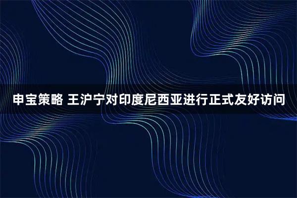 申宝策略 王沪宁对印度尼西亚进行正式友好访问